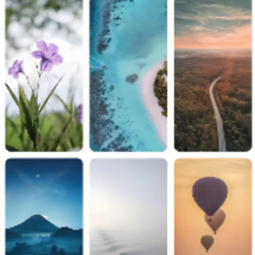 ���ֽapp