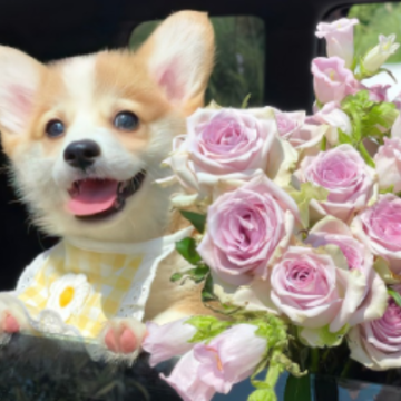 ��С���ٵĸ���ǩ�� ���ϵ�еĺ���ǩ��