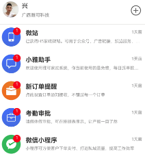�ſɼ���ϵͳapp
