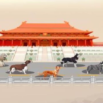小狗旅行记 小狗旅行记