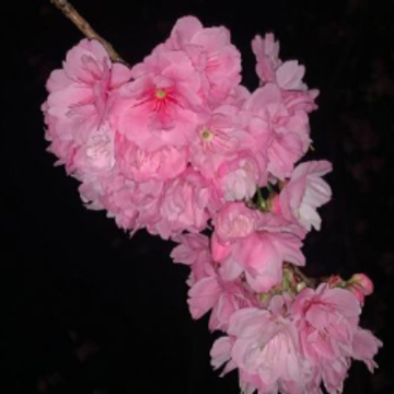 �о��Լ���������͸�˵�˵˵ ����û����ͷ�Ķ̾�