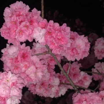 �о��Լ���������͸�˵�˵˵ ����û����ͷ�Ķ̾�