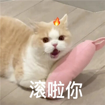 ֵ�ô�ͼ�ĺ���������� ��Ҫ������ͼ�ĺ��ñ���2024��