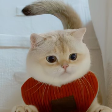 ΢��ǩ����������� ��һ�޶���΢��ǩ��