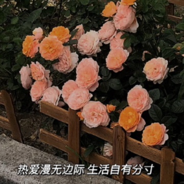 撩已婚女人荷尔蒙飙升的情话 最能打动已婚女人的情话 撩已婚女人荷尔蒙飙升的情话 最能打动已婚女人的情话