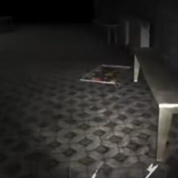 ����ֲ�����(The Ghost)
