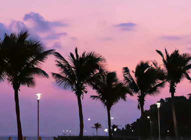 �Թ�ȥͻȻ��������� ������һ����Ե����