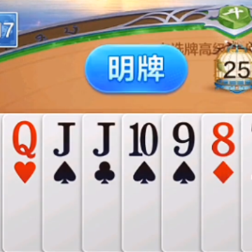 �����������ϰ汾