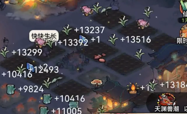 ��ǿ��ʦOPPO��װ��