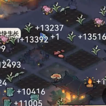 ��ǿ��ʦOPPO��װ��