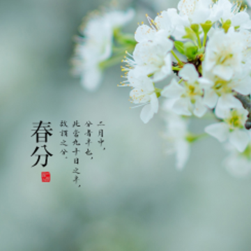 2024春分节日朋友圈祝福短句 春分节气发朋友圈的文案 2024春分节日朋友圈祝福短句 春分节气发朋友圈的文案