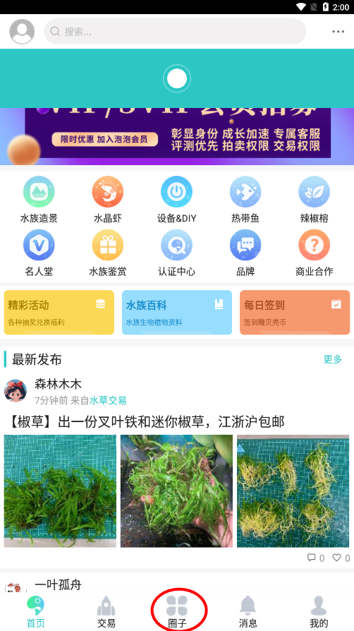 泡泡水族app 泡泡水族app