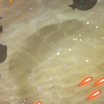 疯狂的捕鱼红包版 疯狂的捕鱼红包版