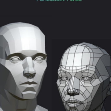Head Model Studio����