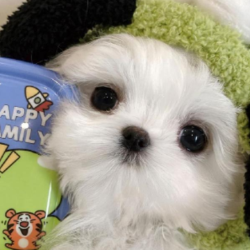 �����ּ�Լ��ǩ������ �°���ڵ�ǩ����ȫ