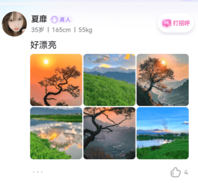 搭对 搭对