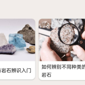 Rock Identifier app���İ�