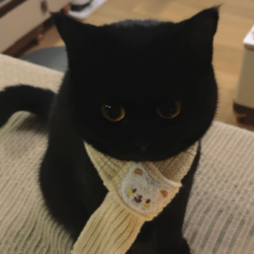 һ�¾ͻ������������������ �°泬�������ǳ�