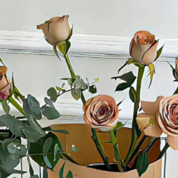 ��ɧ����������Ϸ���� �������˵�������Ϸid