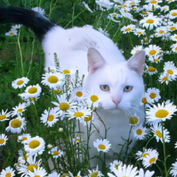 һ�仰д��be�ĸо����İ� be�о���������¼