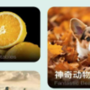 ����ʶ��ͼ��app