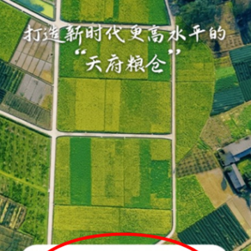 �Ĵ��ﳤѲ������APP