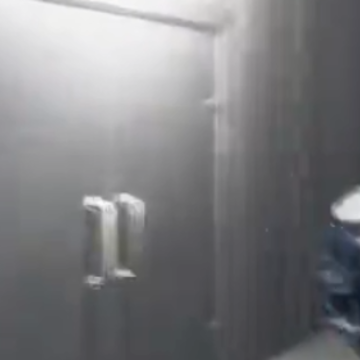 诡异动物园游戏 诡异动物园游戏