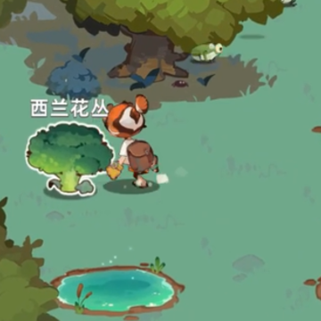 Nomad游戏 Nomad游戏