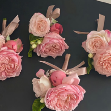 һ˲�������˵��˸�˵˵ ��������һ������˵˵