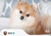 �谮app�ٷ�