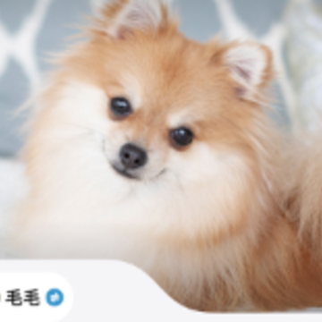 �谮app�ٷ�