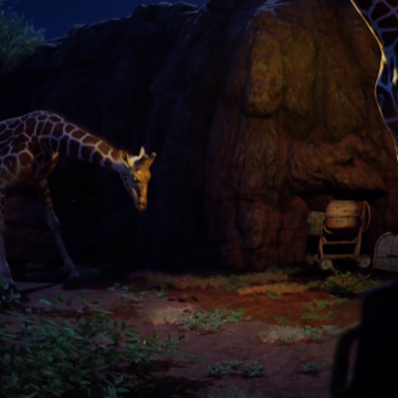 ��������԰���İ�(Zoochosis)