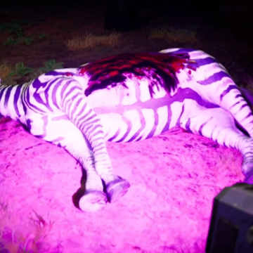 ��������԰���İ�(Zoochosis)