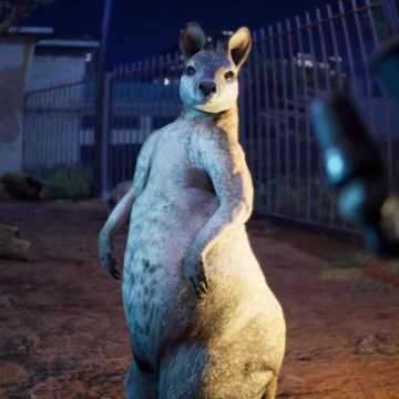 ��������԰���İ�(Zoochosis)