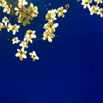 �����ܰ��ľ�������ǩ�� �����ֻ����ǩ���̾�