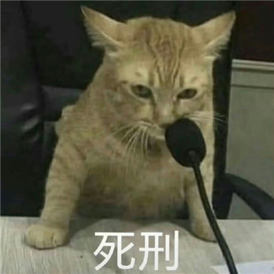 �����󷨹����߶ϰ�è����� ���Сè�ɳ���