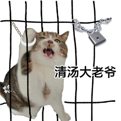 �����󷨹����߶ϰ�è����� ���Сè�ɳ���