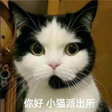�����󷨹����߶ϰ�è����� ���Сè�ɳ���