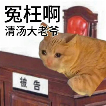 �����󷨹����߶ϰ�è����� ���Сè�ɳ���