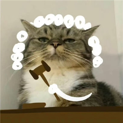 �����󷨹����߶ϰ�è����� ���Сè�ɳ���