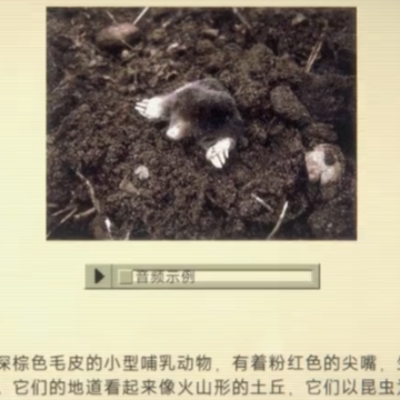 家庭安全热线1 家庭安全热线1