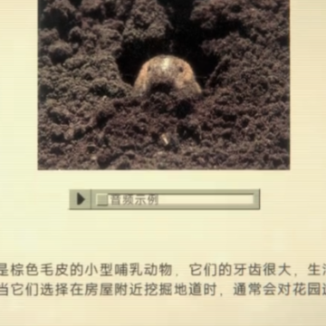 家庭安全热线1 家庭安全热线1