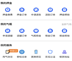 ����ʯ��app