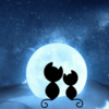 �ǿ��¶�appv2.0.3 ���°�