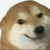 â������v1.1 ���°�