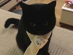 һ�¾ͻ������������������ �°泬�������ǳ�