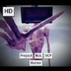 ������Ŀ����������(Project 816: SCP Horror)v1.0 ��׿��