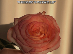 ��Ǹ�����ж��Ļ����� �����˵�Ǹ��صĻ���ȫ