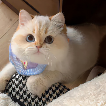 ����С��ȴ���޵��ǳ� С�ڲ�����������