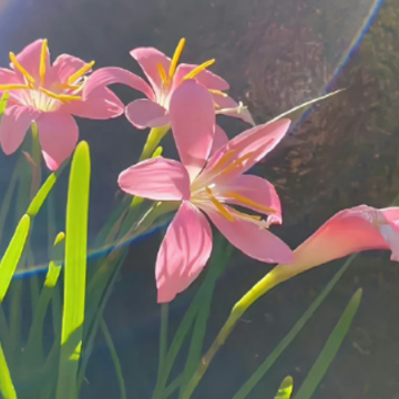 �������е��İ���� ˵�߾��ߵ������İ�